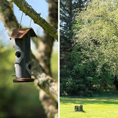 10787-ulfborg-graevlingevej-10